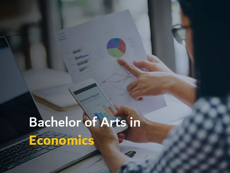 Bachelor of Arts in Economics mob